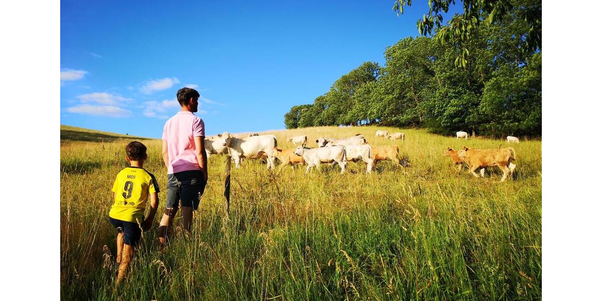 Dachgeschoßwohnung Klingenberg - 3 Zimmer, 75 m&sup2;, 375&euro; | Angebot:25309794