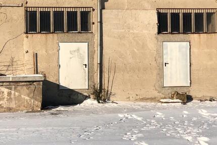 Gewerbeobjekt Bismark (Altmark) Badingen - 50&euro; | Angebot:24535375