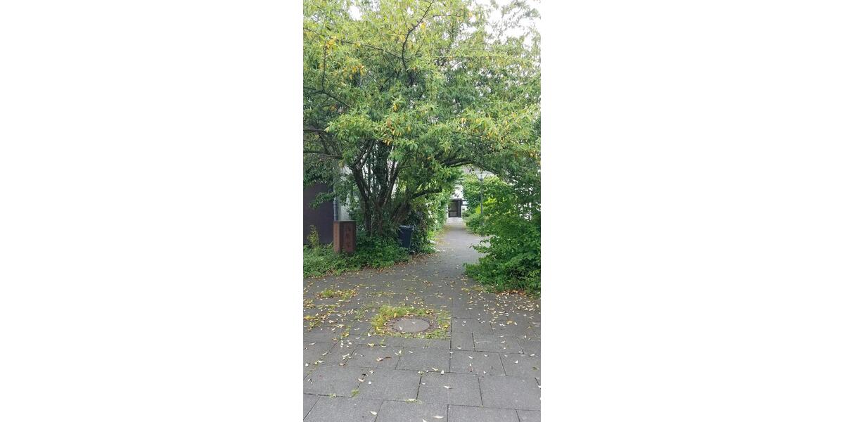 Dachgeschoßwohnung Troisdorf - 1 Zimmer, 38 m&sup2;, 520&euro; | Angebot:26702255