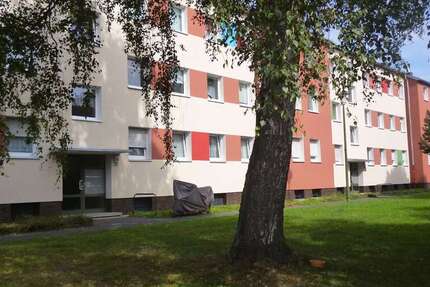 Wohnung Brühl Vochem - 3 Zimmer, 76 m&sup2;, 769&euro; | Angebot:26755188