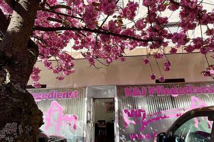 Gewerbeobjekt Weinheim Weststadt - 990&euro; | Angebot:26102364