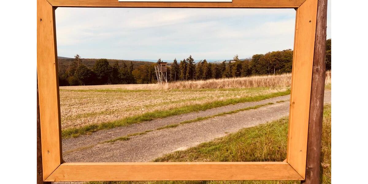 Etagenwohnung Gückingen - 2 Zimmer, 80 m&sup2;, 790&euro; | Angebot:26226533