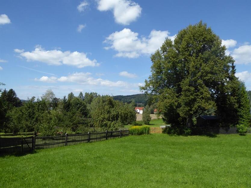 Helle 4-RW mit Gartennutzung im Zentrum der Stadt! zimmer
