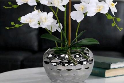 Wohnen auf Zeit Höslwang - 3 Zimmer, 16 m&sup2;, 600&euro; | Angebot:24478953