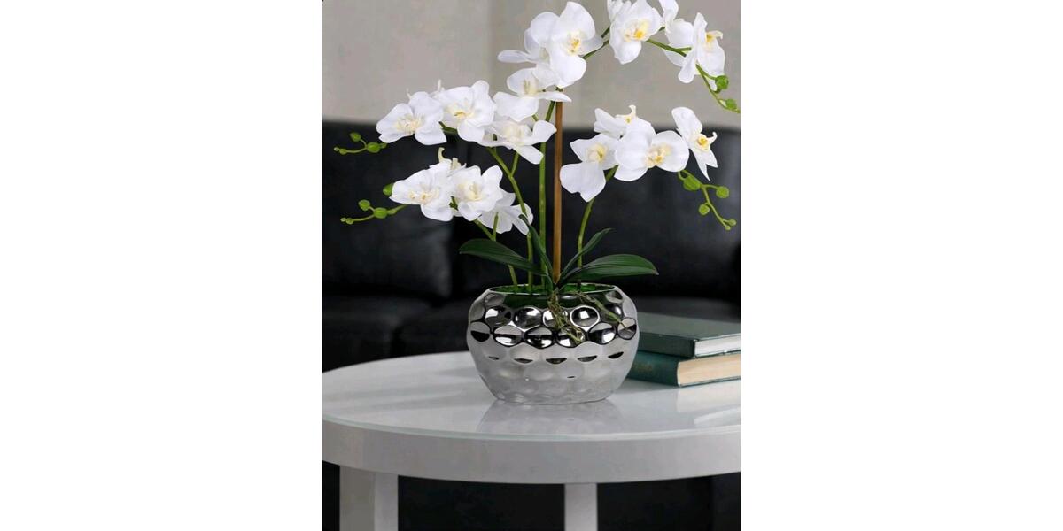 Wohnen auf Zeit Höslwang - 3 Zimmer, 16 m&sup2;, 600&euro; | Angebot:24478953