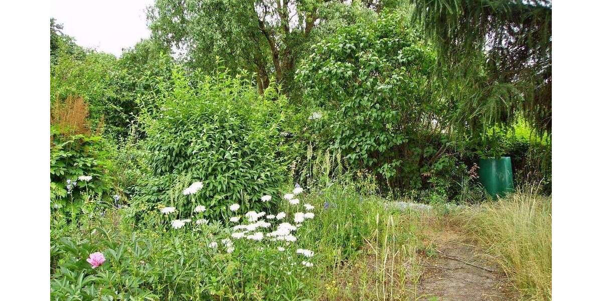 Etagenwohnung Postlow-Görke Görke - 2 Zimmer, 58 m&sup2;, 395&euro; | Angebot:25880791