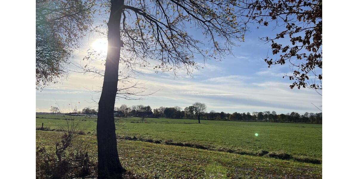 Einfamilienhaus Moormerland - 5 Zimmer, 117 m&sup2;, 790&euro; | Angebot:25148513