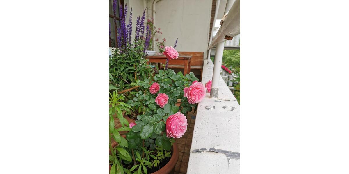 Gewerbeobjekt Düsseldorf Düsseltal - 542&euro; | Angebot:26679837