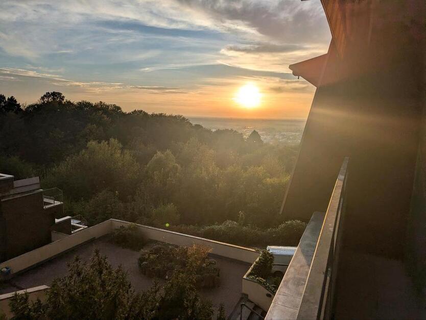 Geräumiges WG-Zimmer mit guter Aussicht