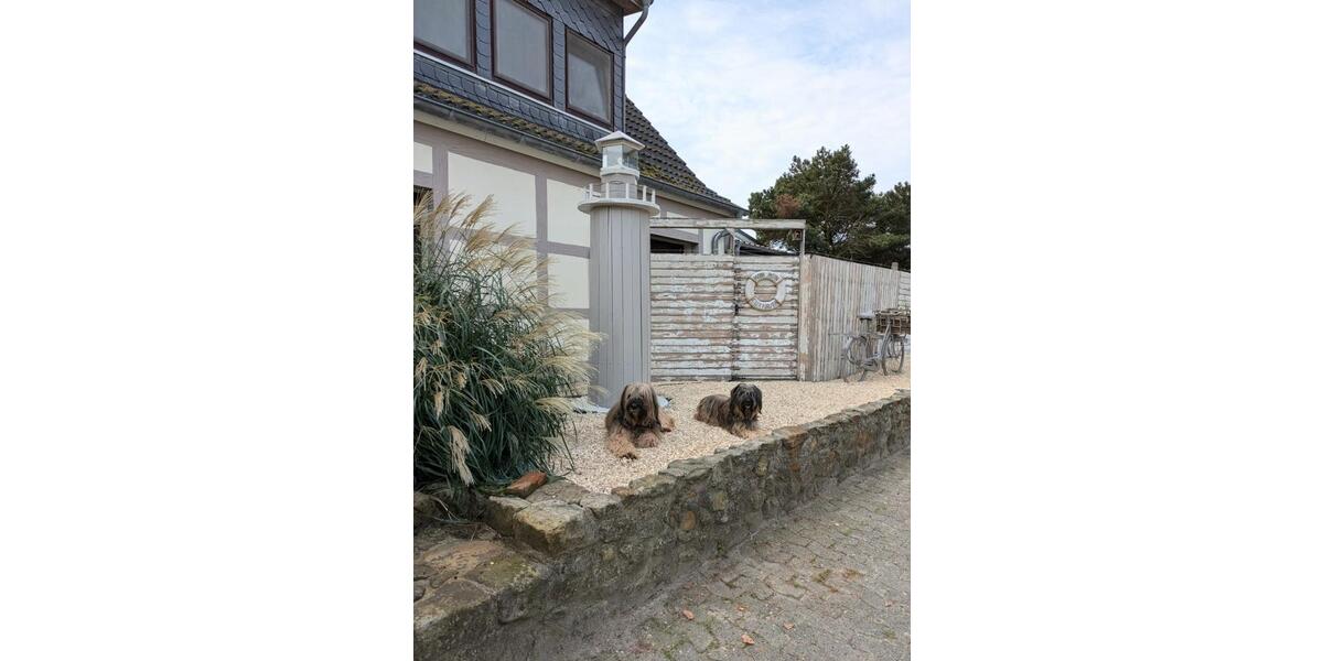 Wohnen auf Zeit Cuxhaven Duhnen - 1 Zimmer, 20 m&sup2;, 39&euro; | Angebot:25888051