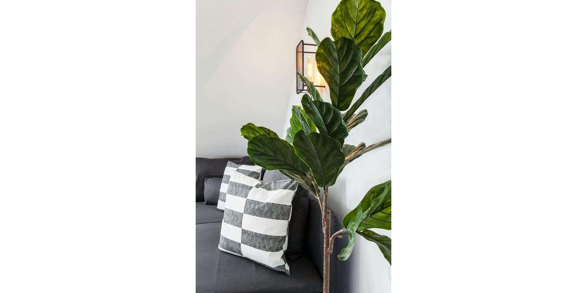 Wohnen auf Zeit in Düsseldorf 1.300 € 1 zimmer