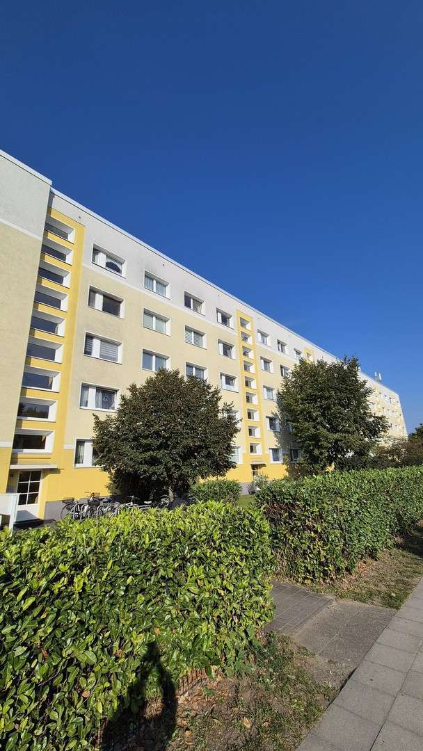 Wohnung zum Mieten in Berlin 1.095 € 60 m² 3 zimmer