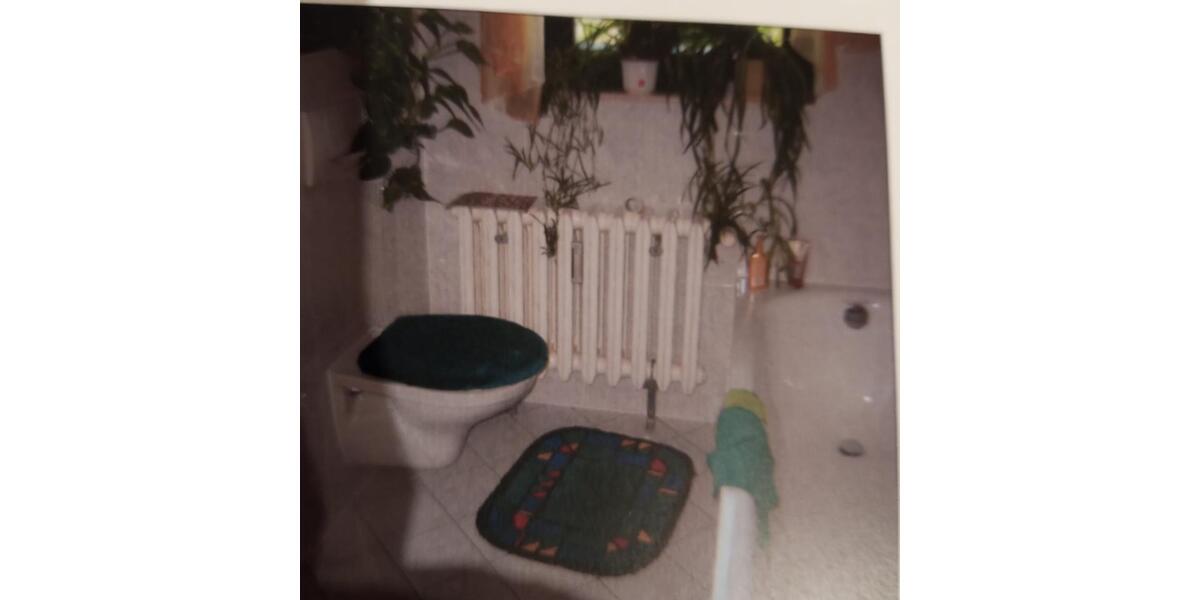 helle 3-Raumwohnung zu vermieten in GreizNeumühle - ruhige Lage 3 zimmer