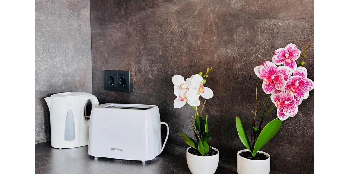 2-Zimmer-Appartement mit TV, Wlan, Doppelbett und Schlafcouch, Küche, BadWC, Waschmaschine und eigenem Parkplatz 2 zimmer