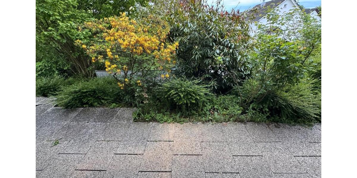 Erdgeschoßwohnung Kreuztal - 2 Zimmer, 95 m&sup2;, 900&euro; | Angebot:26691964