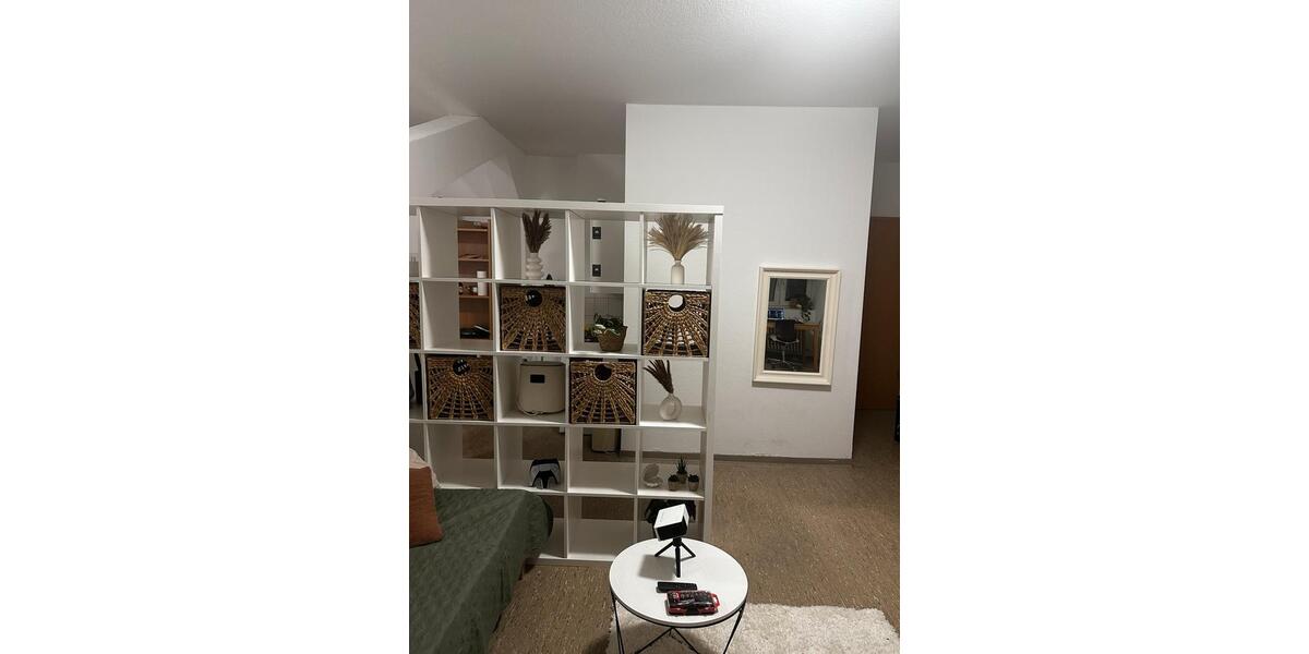 Wohnen auf Zeit Mannheim Neckarstadt-Ost - 1.5 Zimmer, 20 m&sup2;, 510&euro; | Angebot:23318138