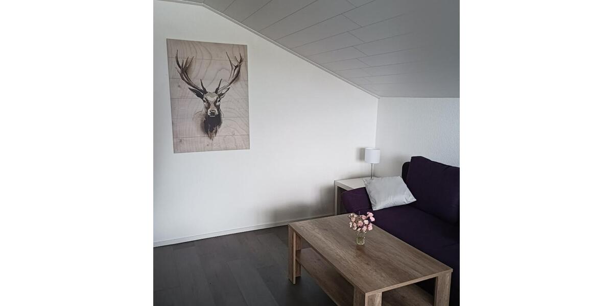 Dachgeschoßwohnung Mühlacker - 3 Zimmer, 55 m&sup2;, 1.200&euro; | Angebot:25948414