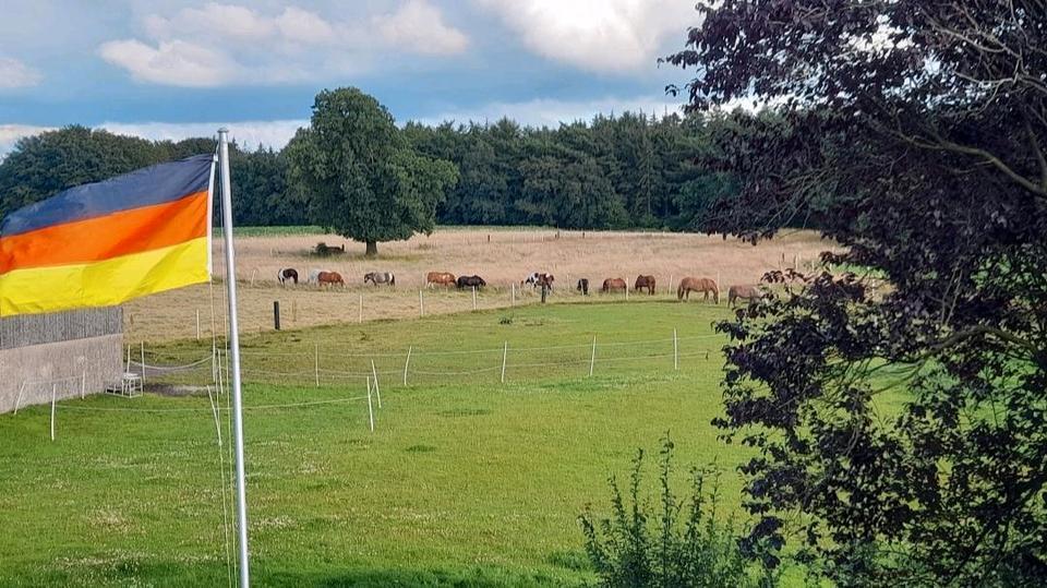 3 Zi Wohnung in Wehden