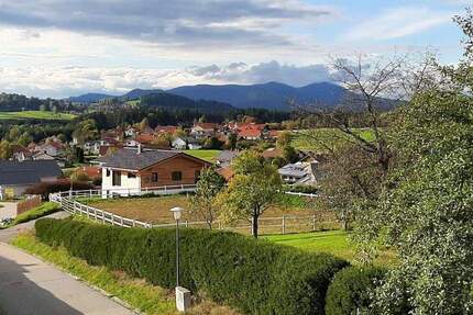 Wohnung Frauenau Dörfl - 2 Zimmer, 60 m&sup2;, 490&euro; | Angebot:24597617