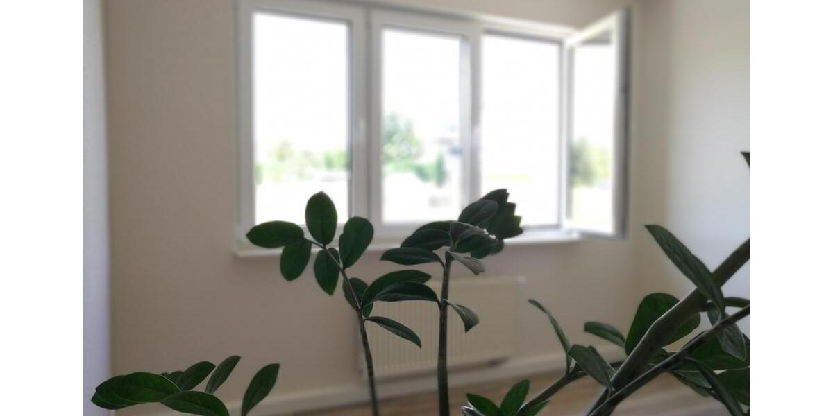 Etagenwohnung Geithain - 2 Zimmer, 51 m&sup2;, 349&euro; | Angebot:26279167