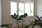 Etagenwohnung Geithain - 2 Zimmer, 51 m&sup2;, 349&euro; | Angebot:26279167