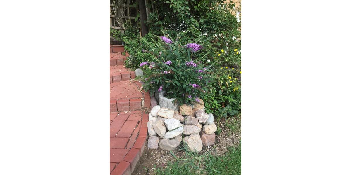 Wohnung. Haus zu vermieten 5 zimmer