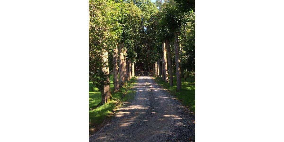 Wohnen im Park - sehr schöne Wohnung - Etagenwohnung Kierspe Grünenbaum | Angebot:23978243