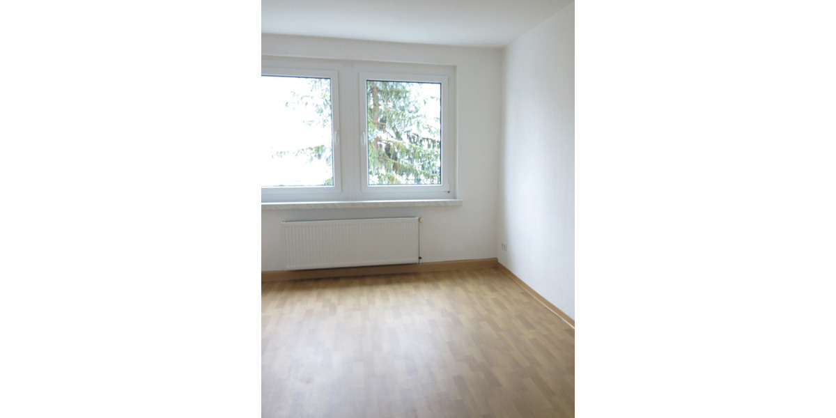 Etagenwohnung Harztor - 2 Zimmer, 47 m&sup2;, 250&euro; | Angebot:24940021
