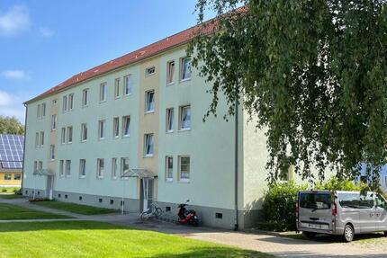 Wohnung Friedland - 3 Zimmer, 59 m&sup2;, 289&euro; | Angebot:24787662