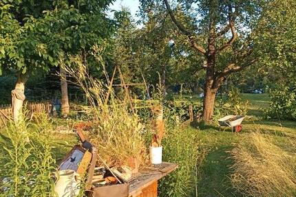 Wohnung Liebenwalde - 2 Zimmer, 44 m&sup2;, 585&euro; | Angebot:25419533