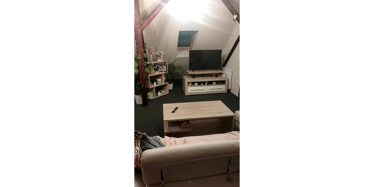 Dachgeschoßwohnung Ilmenau - 1.5 Zimmer, 48 m&sup2;, 330&euro; | Angebot:25044461