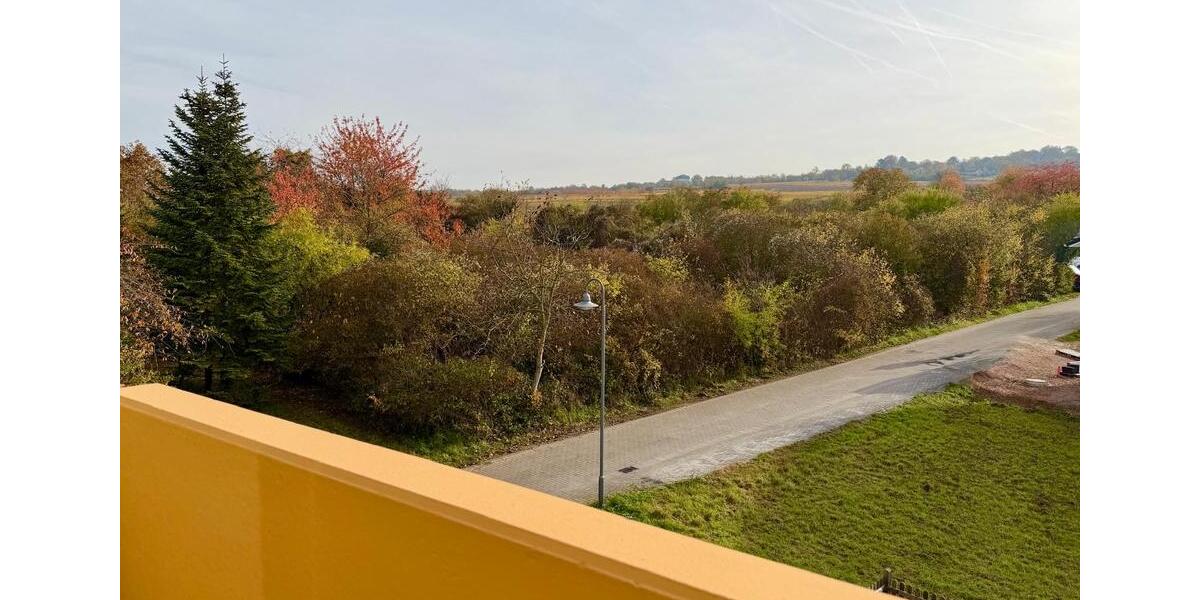 Dachgeschoßwohnung Ingelheim am Rhein - 4 Zimmer, 1.750&euro; | Angebot:23490472