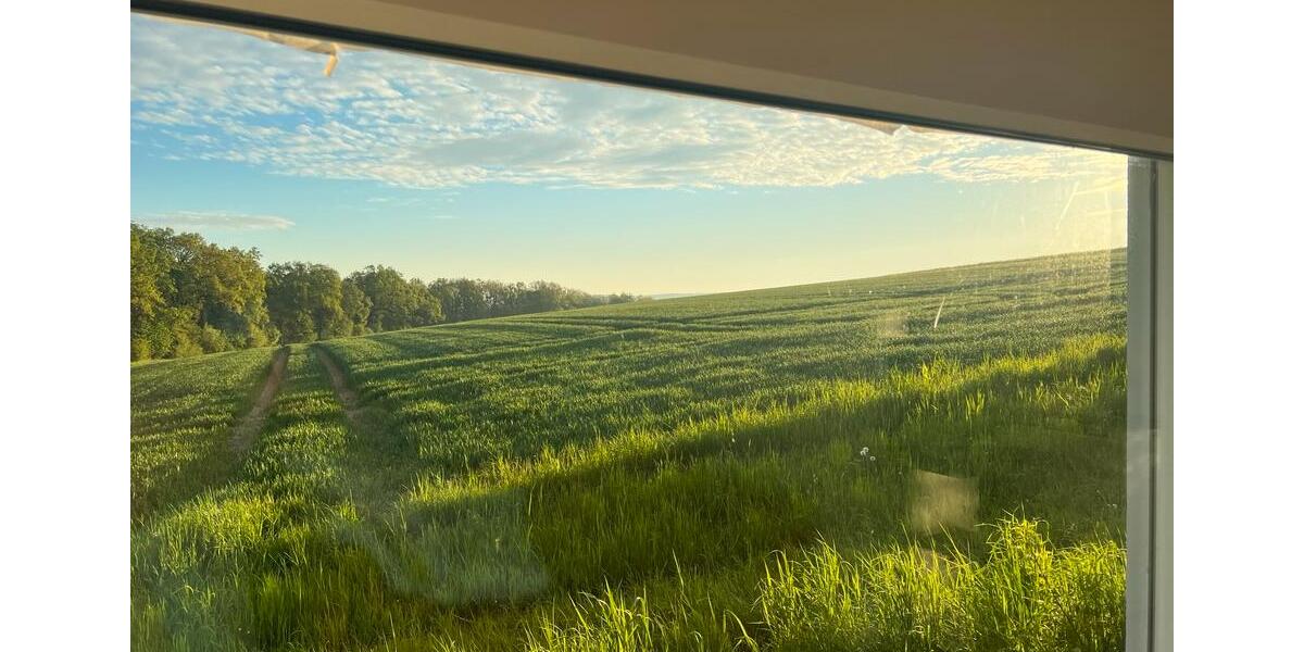 Loft - Studio - Atelier Zeitlarn - 1 Zimmer, 45 m&sup2;, 1.250&euro; | Angebot:24640142