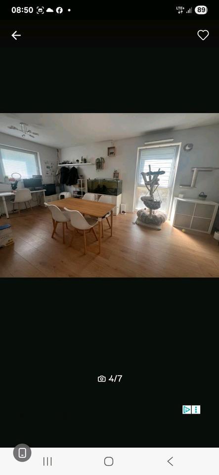 Wunderschöne 2 Zimmer Wohnung mit Terrasse zimmer