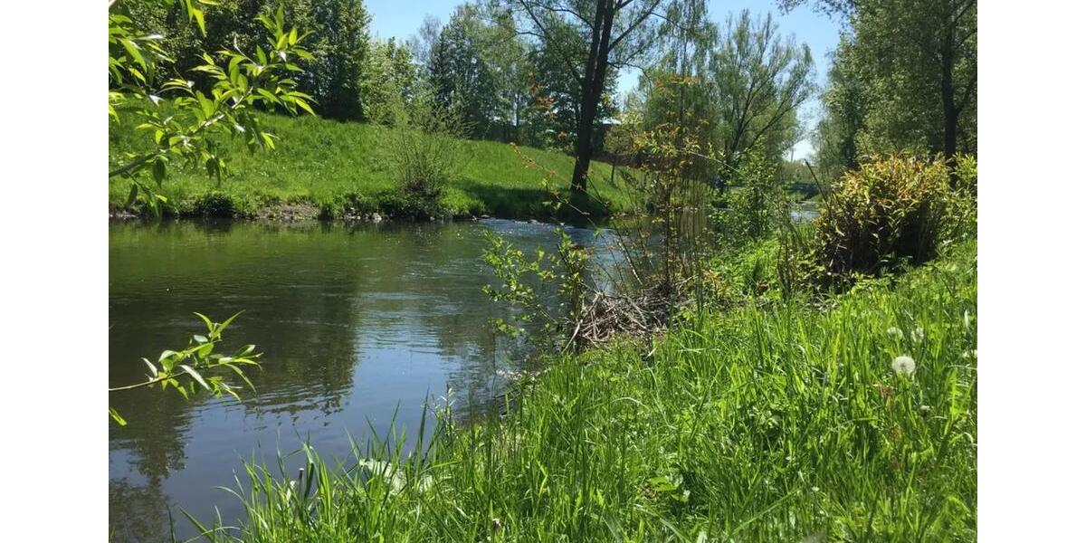 Wohnen auf Zeit Hof Altstadt - 1 Zimmer, 14 m&sup2;, 400&euro; | Angebot:25795261