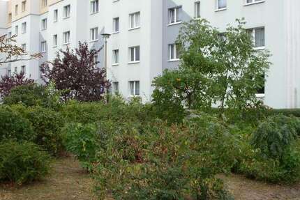 Wohnung Lübben (Spreewald) - 2 Zimmer, 49 m&sup2;, 335&euro; | Angebot:27288906