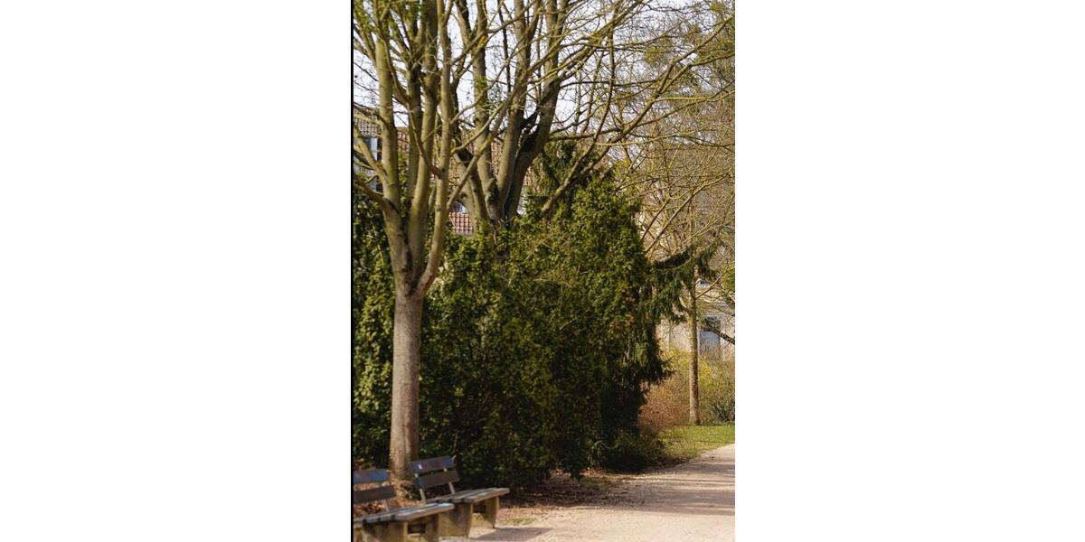 Wohnen auf Zeit Roßdorf - 4 Zimmer, 104 m&sup2;, 650&euro; | Angebot:24679041