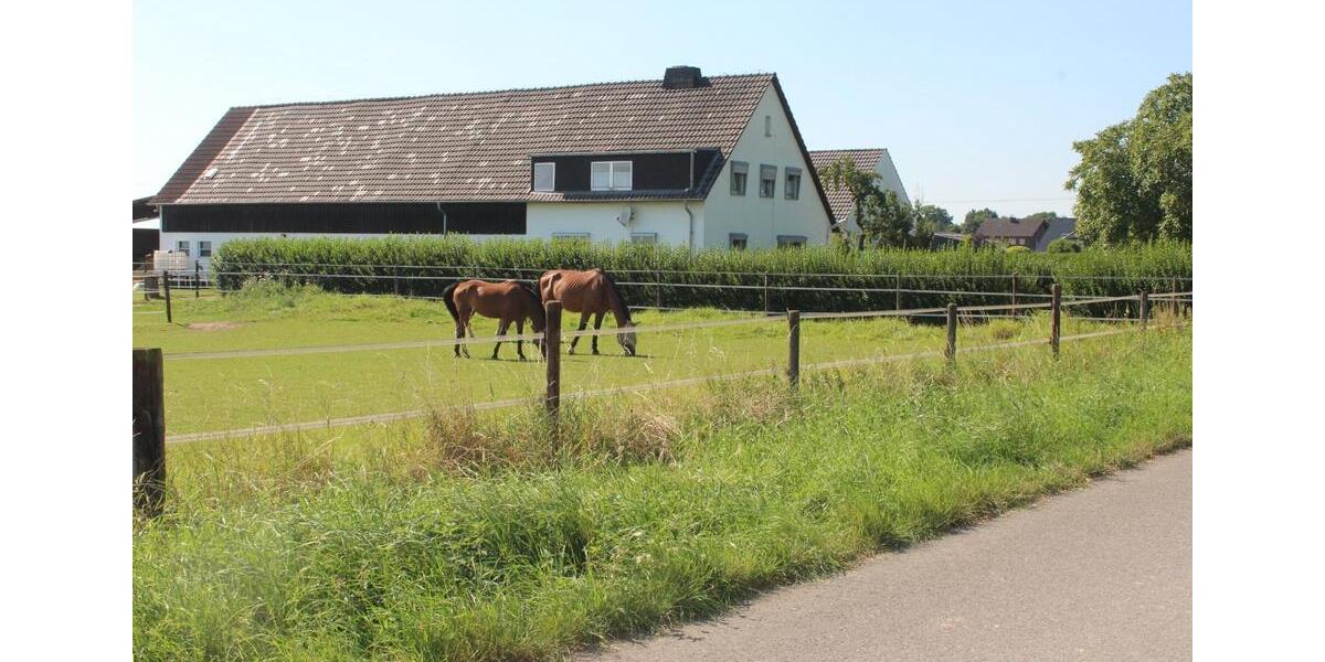 Wohnen auf Zeit Jülich - 1 Zimmer, 380&euro; | Angebot:19499185