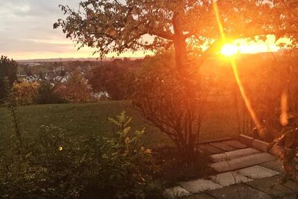 HELLE gepflegte 2,5-Zimmer-Terrassenwohnung mit Einbauküche zimmer