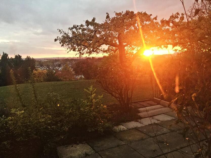HELLE gepflegte 2,5-Zimmer-Terrassenwohnung mit Einbauküche zimmer