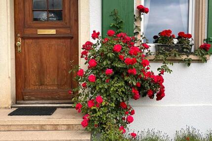 Wohnung Salem - 7 Zimmer, 20 m&sup2;, 500&euro; | Angebot:25170938