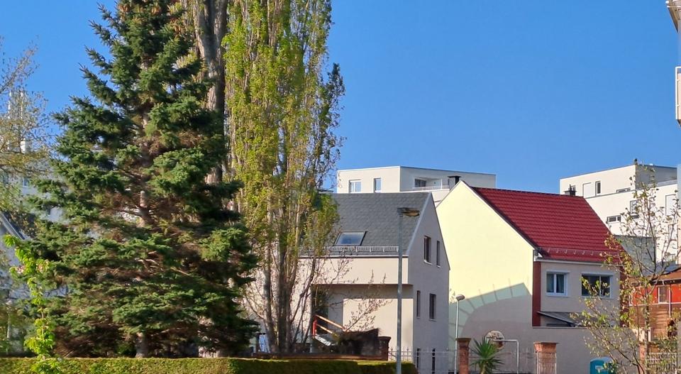 Erdgeschoßwohnung Erfurt Gispersleben - 2 Zimmer, 48 m&sup2;, 730&euro; | Angebot:26671682