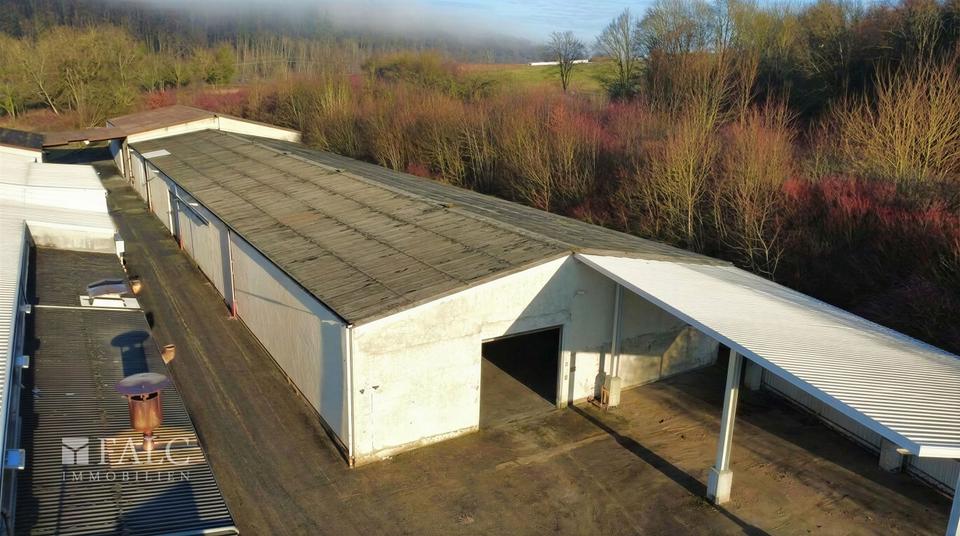 Gewerbeobjekt Möckmühl - 1.729&euro; | Angebot:24691048