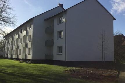 Helle Erdgeschosswohnung ab sofort zu vermieten. 3 zimmer