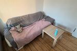 Wohnen auf Zeit Ludwigshafen am Rhein Parkinsel - 3 Zimmer, 20 m&sup2;, 620&euro; | Angebot:26494814