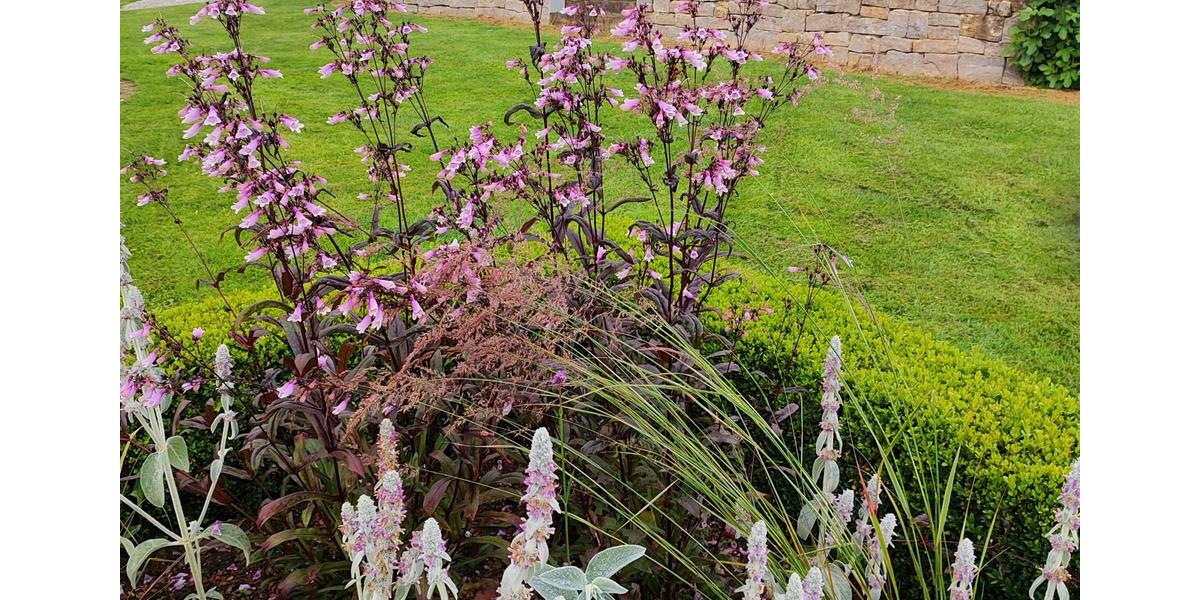 Wohnen auf Zeit Rottweil - 1 Zimmer, 50 m&sup2;, 1.220&euro; | Angebot:26219691