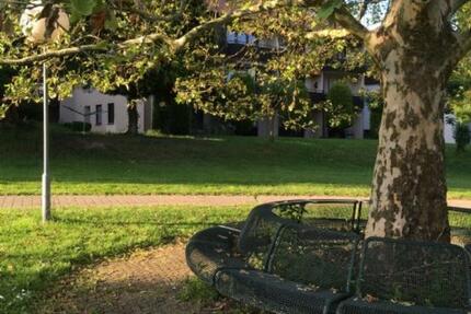 Wohnung Bad Säckingen - 1 Zimmer, 40 m&sup2;, 550&euro; | Angebot:25055301