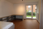 Etagenwohnung Lemgo - 1 Zimmer, 24 m&sup2;, 315&euro; | Angebot:24715766