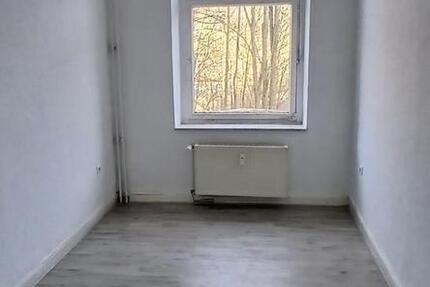 Wohnung Altena - 2 Zimmer, 55 m&sup2;, 350&euro; | Angebot:24719233