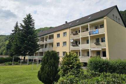 Wohnung Rechenberg-Bienenmühle Bienenmühle - 3 Zimmer, 67 m&sup2;, 300&euro; | Angebot:23735945